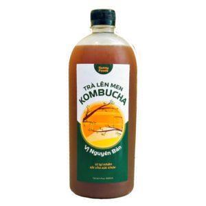 Cốt trà len men Kombucha