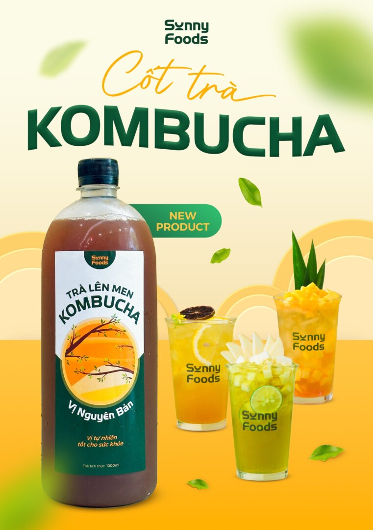 Cốt trà len men Kombucha